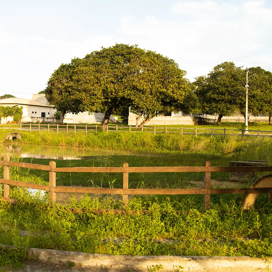 fazenda imperial